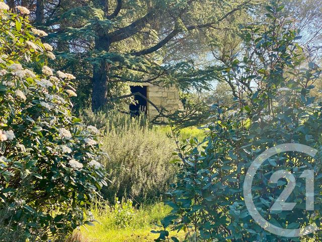 maison à vendre - 7 pièces - 267.93 m2 - LUNEL - 34 - LANGUEDOC-ROUSSILLON - Century 21 Pays De Lunel