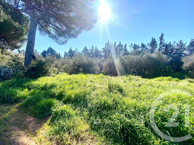 maison à vendre - 7 pièces - 267.93 m2 - LUNEL - 34 - LANGUEDOC-ROUSSILLON - Century 21 Pays De Lunel