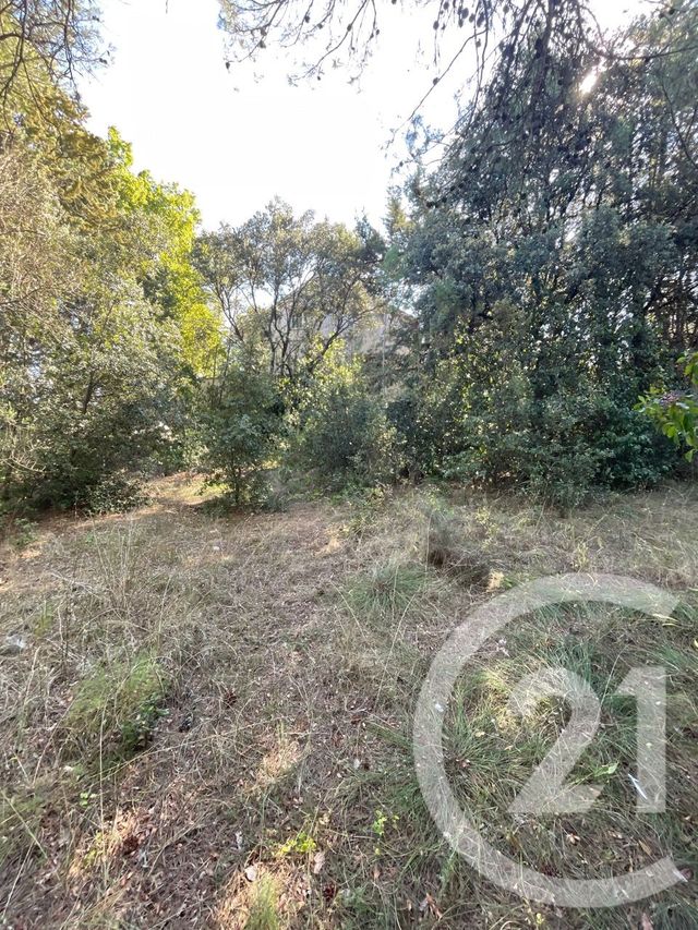 maison à vendre - 6 pièces - 255.79 m2 - ST DREZERY - 34 - LANGUEDOC-ROUSSILLON - Century 21 Pays De Lunel