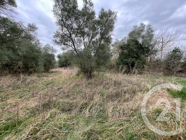 terrain à vendre - 506.0 m2 - LUNEL VIEL - 34 - LANGUEDOC-ROUSSILLON - Century 21 Pays De Lunel