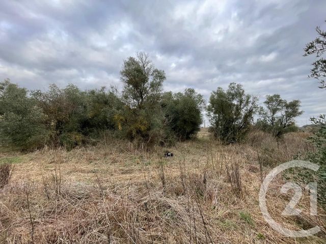 terrain à vendre - 506.0 m2 - LUNEL VIEL - 34 - LANGUEDOC-ROUSSILLON - Century 21 Pays De Lunel