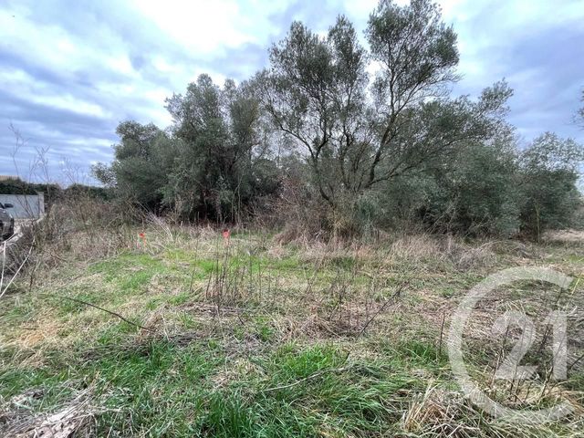 terrain à vendre - 506.0 m2 - LUNEL VIEL - 34 - LANGUEDOC-ROUSSILLON - Century 21 Pays De Lunel