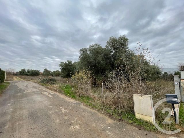 terrain à vendre - 506.0 m2 - LUNEL VIEL - 34 - LANGUEDOC-ROUSSILLON - Century 21 Pays De Lunel