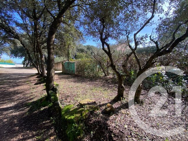 maison à vendre - 5 pièces - 162.0 m2 - BOISSERON - 34 - LANGUEDOC-ROUSSILLON - Century 21 Pays De Lunel